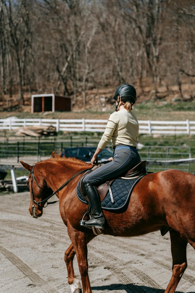 A young woman riding a chestnut horse in an outdoor paddock during a sunny day.